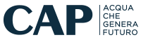 vaschevolanocap